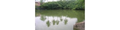 267. திருஅரசிலி